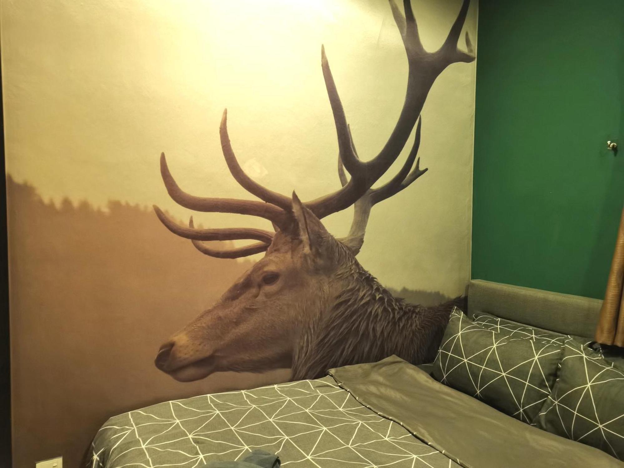 Cozy Forest Themed Homestay 4 Bedroom Kuala Lumpur Eksteriør bilde